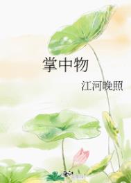 掌中物小说全文免费阅读无删减